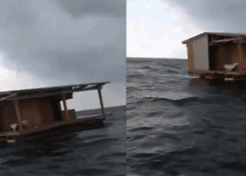 El restaurante flotante “El Atracadero” reaparece intacto en Alvarado tras ser arrastrado por el río Tuxpan