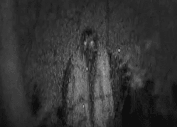 History Channel analiza el video de la supuesta ‘bruja vampiro’ en Edomex