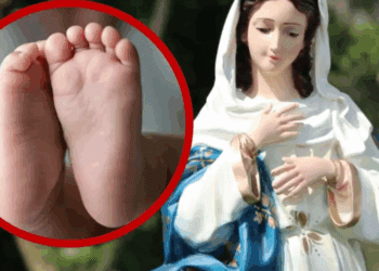 Bebé sobrevive milagrosamente tras ser arrastrado por lluvias