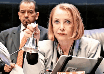 Laura Itzel Castillo: “El Senado no es un salón de fiestas”