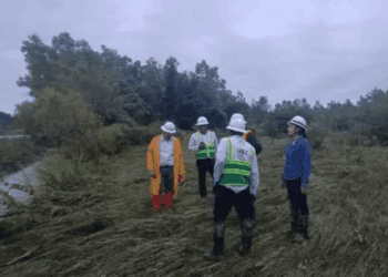 Colapso de torre de CFE en Chiapas deja sin energía a miles de hogares