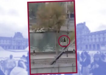 VIDEO: Captan a ladrones del Louvre huyendo en montacargas