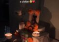 Video viral: mujer asegura que su perrito regresó del más allá