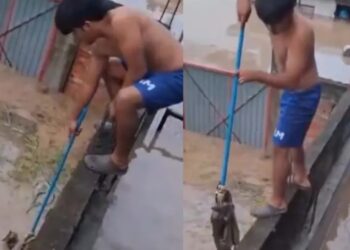 Niño rescata a un gatito durante inundaciones en Veracruz y conmueve al país