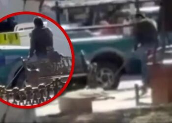 Indignación en Guanajuato: maltratan a perrito callejero