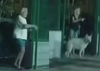 Extranjeros provocan pleito en cancha pública de Loreto, Baja California