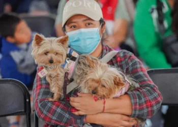 Edomex impulsa jornada de bienestar animal en La Paz; esterilizan y vacunan a más de 300 mascotas