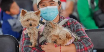 Edomex impulsa jornada de bienestar animal en La Paz; esterilizan y vacunan a más de 300 mascotas