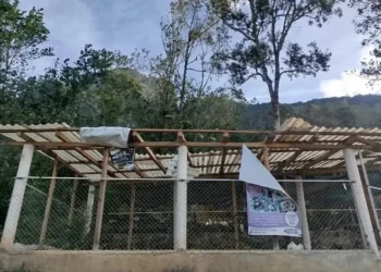 Bajas temperaturas y lluvias afectan a cinco estados por el paso del Frente Frío 13