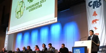 México deberá informar en la COP20 de CITES sus avances y pendientes en la protección de la vaquita marina