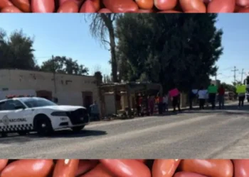 Campesinos en Durango bloquean autopista para exigir reactivación de programa de acopio