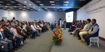 Toluca alberga la primera cumbre nacional dedicada a la mariposa Monarca