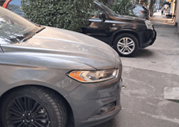 Falla en Plataforma: El REPUVE Mantenimiento Causa Intermitencias Críticas en el Cierre de Mes