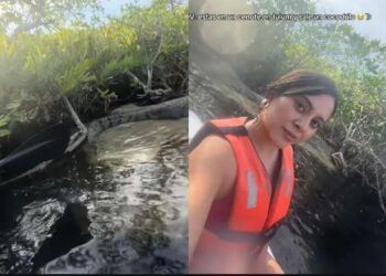 Turistas confunden cocodrilo vivo con adorno en Tulum