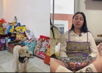Último deseo de joven veterinaria inspira donaciones para animales