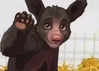 Lanzan peluches para ayudar a Mina, la osita rescatada