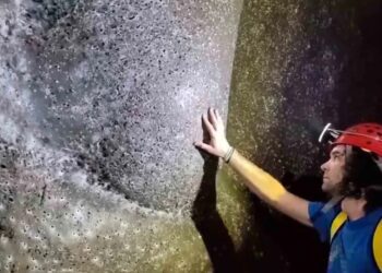 Hallan en Europa la telaraña más grande del planeta