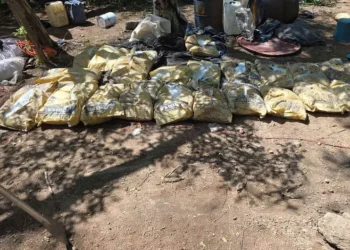 Procesan a Jorge Iván por presunto narcomenudeo y posesión de cartuchos restringidos