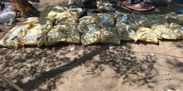 Procesan a Jorge Iván por presunto narcomenudeo y posesión de cartuchos restringidos