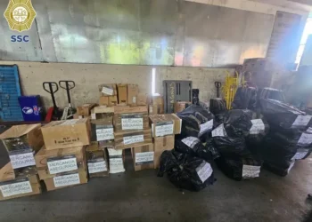 Aseguran más de 12 mil cajetillas de cigarros falsificados