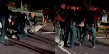 Caimán de 4.3 metros bloquea carretera en Florida