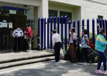 Salud descarta presencia de la variante H3N2 subclado K en México