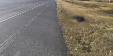 Localizan dos cadáveres en la México–Pachuca en hechos separados