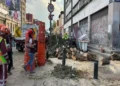Fuertes vientos provocan caída de árbol en el Centro de la CDMX