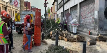 Fuertes vientos provocan caída de árbol en el Centro de la CDMX