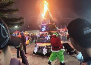 Fuego consume árbol navideño en Tula tras uso de pirotecnia