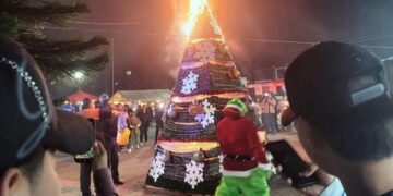 Fuego consume árbol navideño en Tula tras uso de pirotecnia