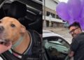 Perrito vence el cáncer y su dueño celebra a lo grande