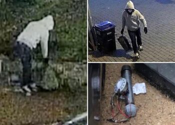 FBI arresta a sospechoso de plantar bombas previo al asalto al Capitolio