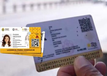 Veracruz veta licencias a deudores alimentarios