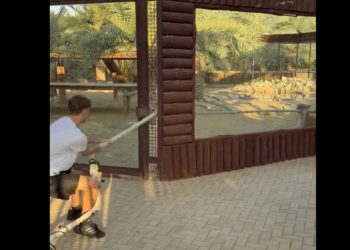 Video de Dean Huijsen durante sus vacaciones con un tigre sacude las redes