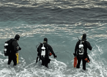 Localizan cuerpo de la triatleta desaparecida tras ataque de tiburón en California