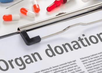 Donar órganos en México: cómo registrar tu voluntad