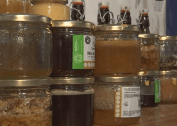 En Tláhuac elaboran hidromiel, la bebida más antigua de Europa