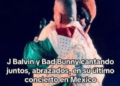 J Balvin y Bad Bunny sellan la paz en CDMX ante miles de fans
