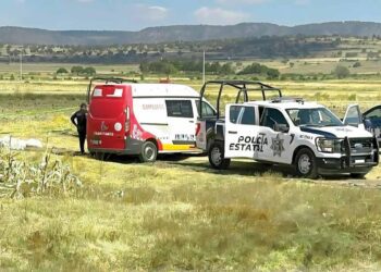 Arranque de 2026 marcado por la violencia contra las mujeres; feminicidios y acoso persisten