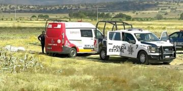 Arranque de 2026 marcado por la violencia contra las mujeres; feminicidios y acoso persisten