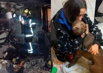 Incendio nocturno en casa de la GAM deja tres lesionados y desalojan a vecinos