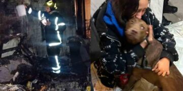 Incendio nocturno en casa de la GAM deja tres lesionados y desalojan a vecinos