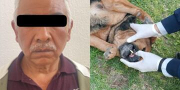 Arrestan en Mineral de la Reforma a sujeto señalado por crueldad animal y presuntos actos de zoofilia