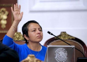 Piden supervisar a fondo los albergues de animales en la CDMX: Liz Salgado