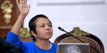 Piden supervisar a fondo los albergues de animales en la CDMX: Liz Salgado