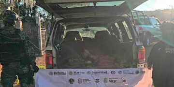Plan de seguridad en Michoacán deja casi 400 detenidos y más de 200 armas decomisadas