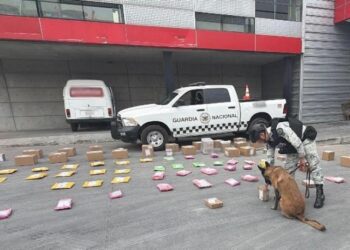 Aseguran en Nuevo León cargamentos de droga enviados por paquetería a más de 20 estados