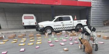 Aseguran en Nuevo León cargamentos de droga enviados por paquetería a más de 20 estados