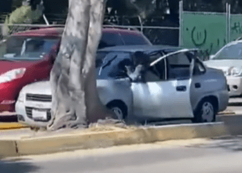 Se cuelga de su coche para impedir asalto en Puebla; detienen al presunto ladrón
